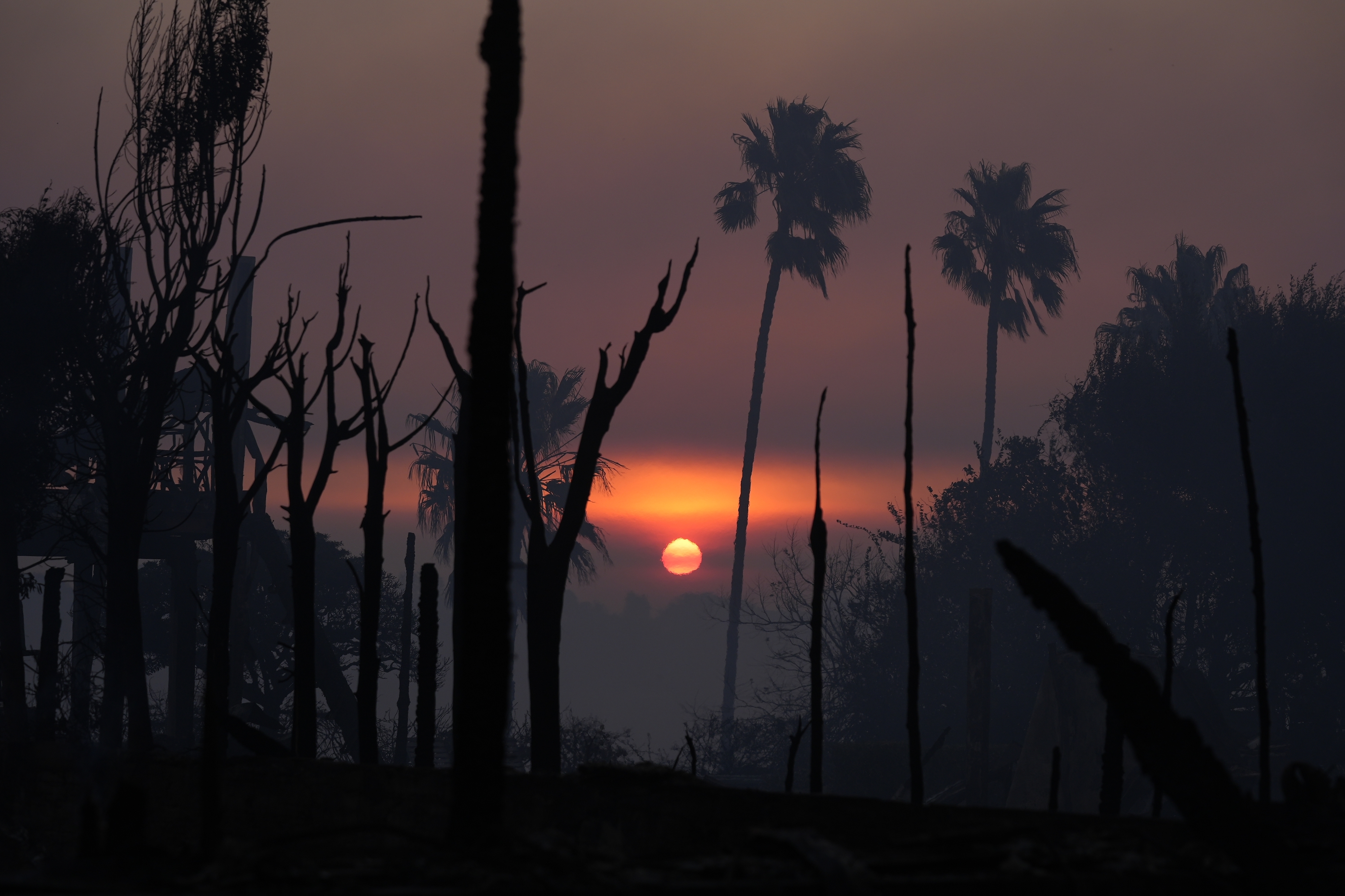 The sun rises as the Palisades Fire ravagee a neighborhood amid high winds in the Pacific Palisades neighborhood of Los Angeles, Thursday, Jan. 9, 2025. (AP Photo/Damian Dovarganes)