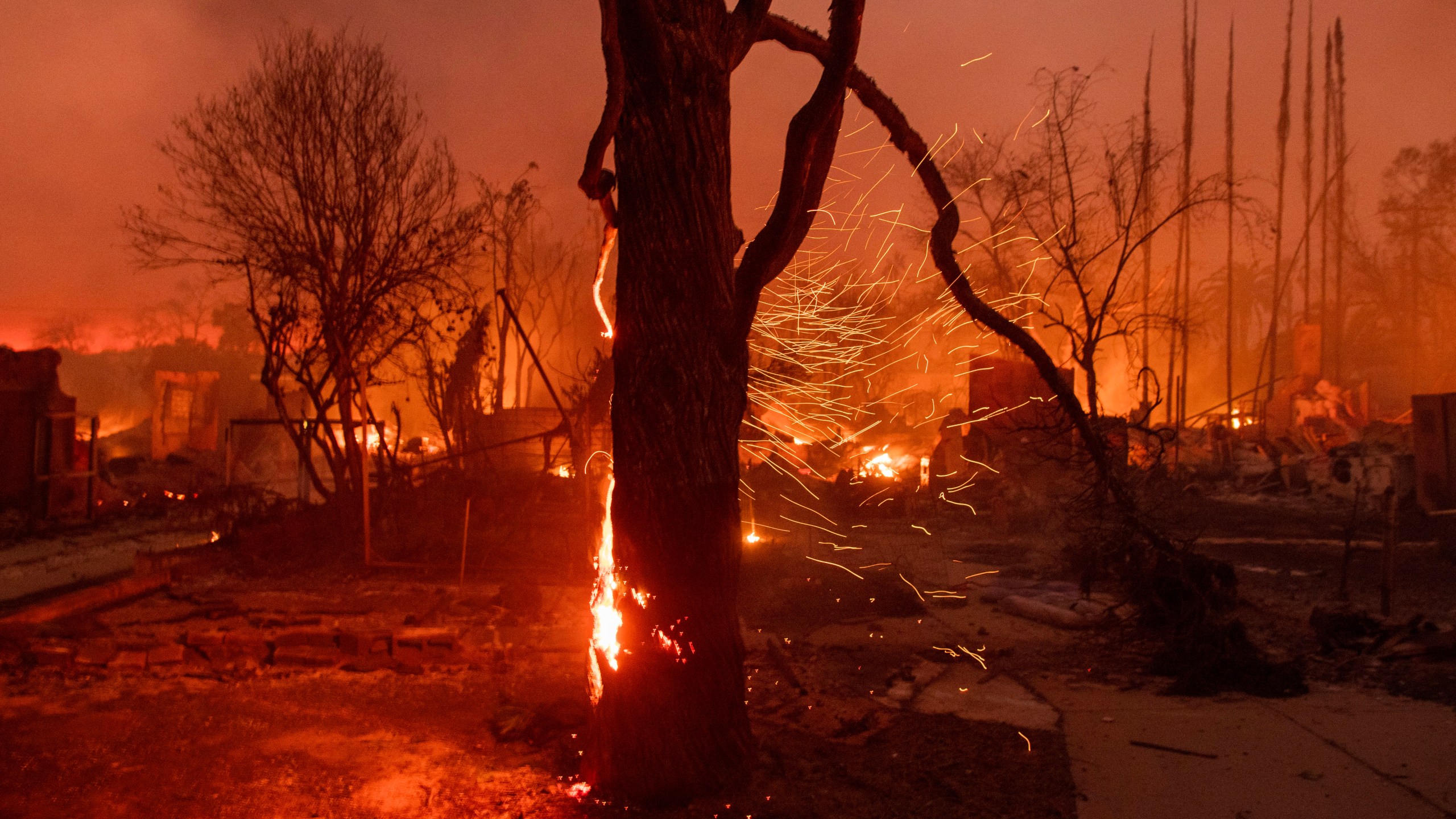 FILE - Embers are blown off a burning tree as the Eaton Fire burns in Altadena, Calif., Jan. 8, 2025. (AP Photo/Nic Coury, File)