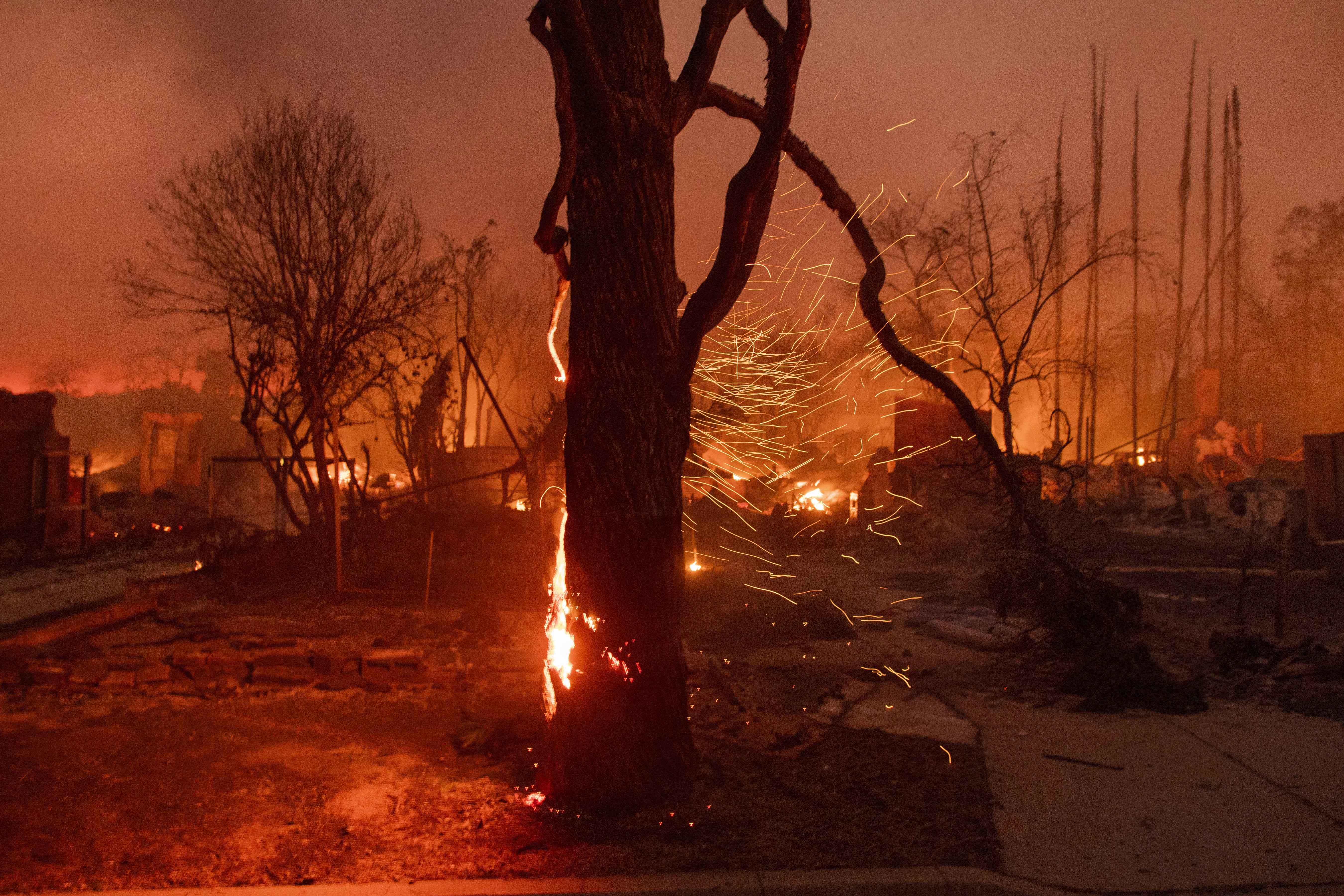 FILE - Embers are blown off a burning tree as the Eaton Fire burns in Altadena, Calif., Jan. 8, 2025. (AP Photo/Nic Coury, File)