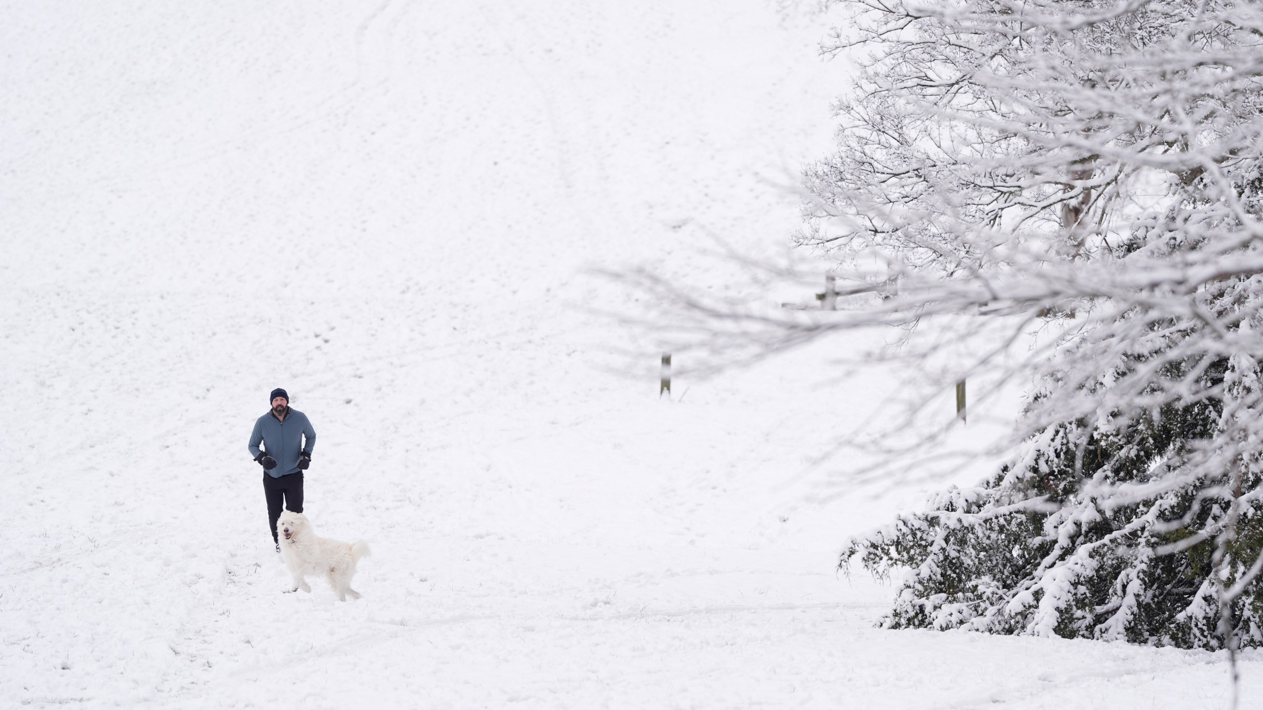 Michael Paul runs up a snow covered hill with his dog Murphy, Saturday, Jan. 11, 2025, in Nashville, Tenn. (AP Photo/George Walker IV)