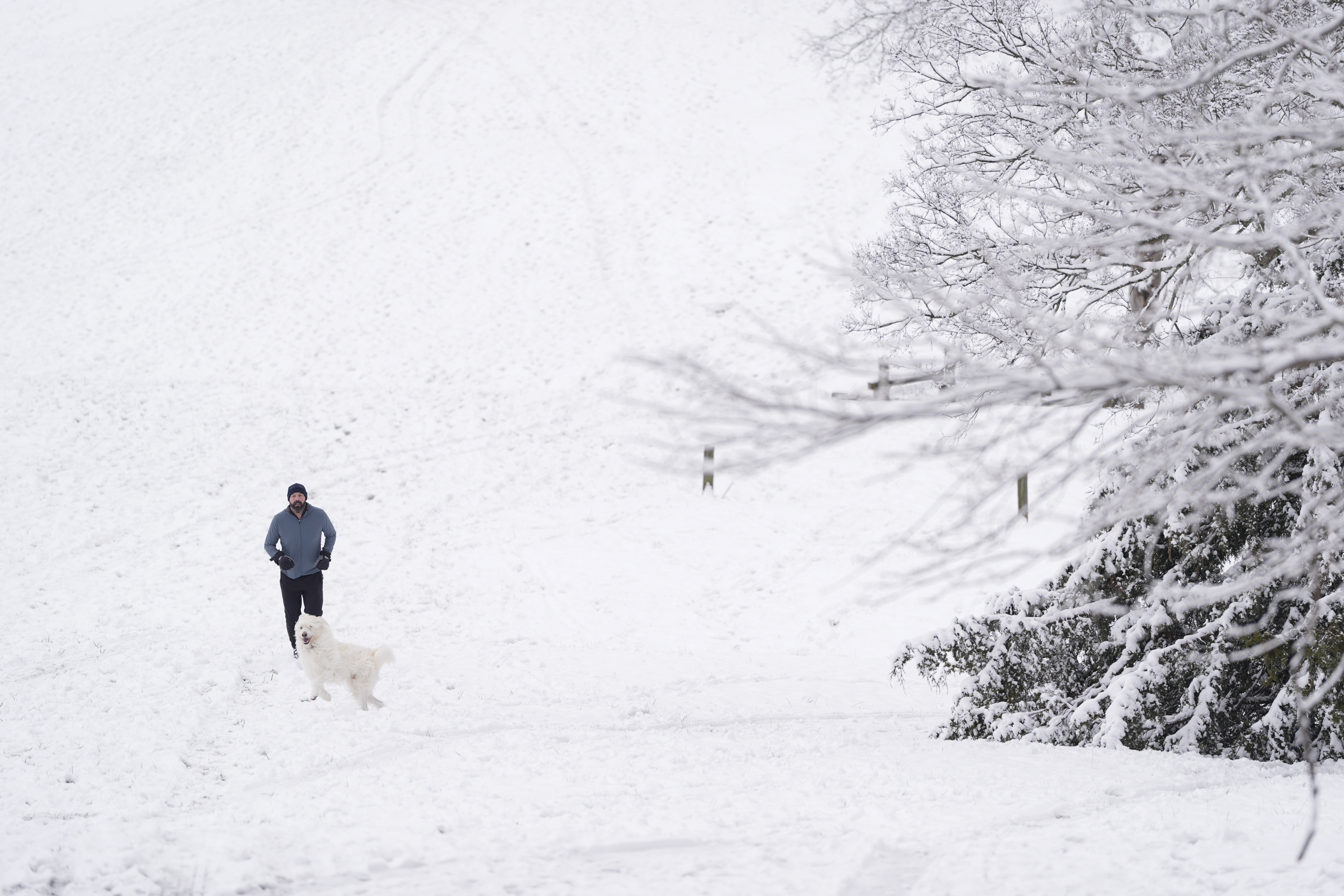 Michael Paul runs up a snow covered hill with his dog Murphy, Saturday, Jan. 11, 2025, in Nashville, Tenn. (AP Photo/George Walker IV)