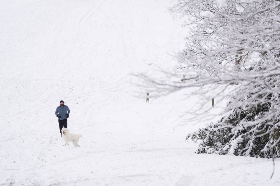 Michael Paul runs up a snow covered hill with his dog Murphy, Saturday, Jan. 11, 2025, in Nashville, Tenn. (AP Photo/George Walker IV)