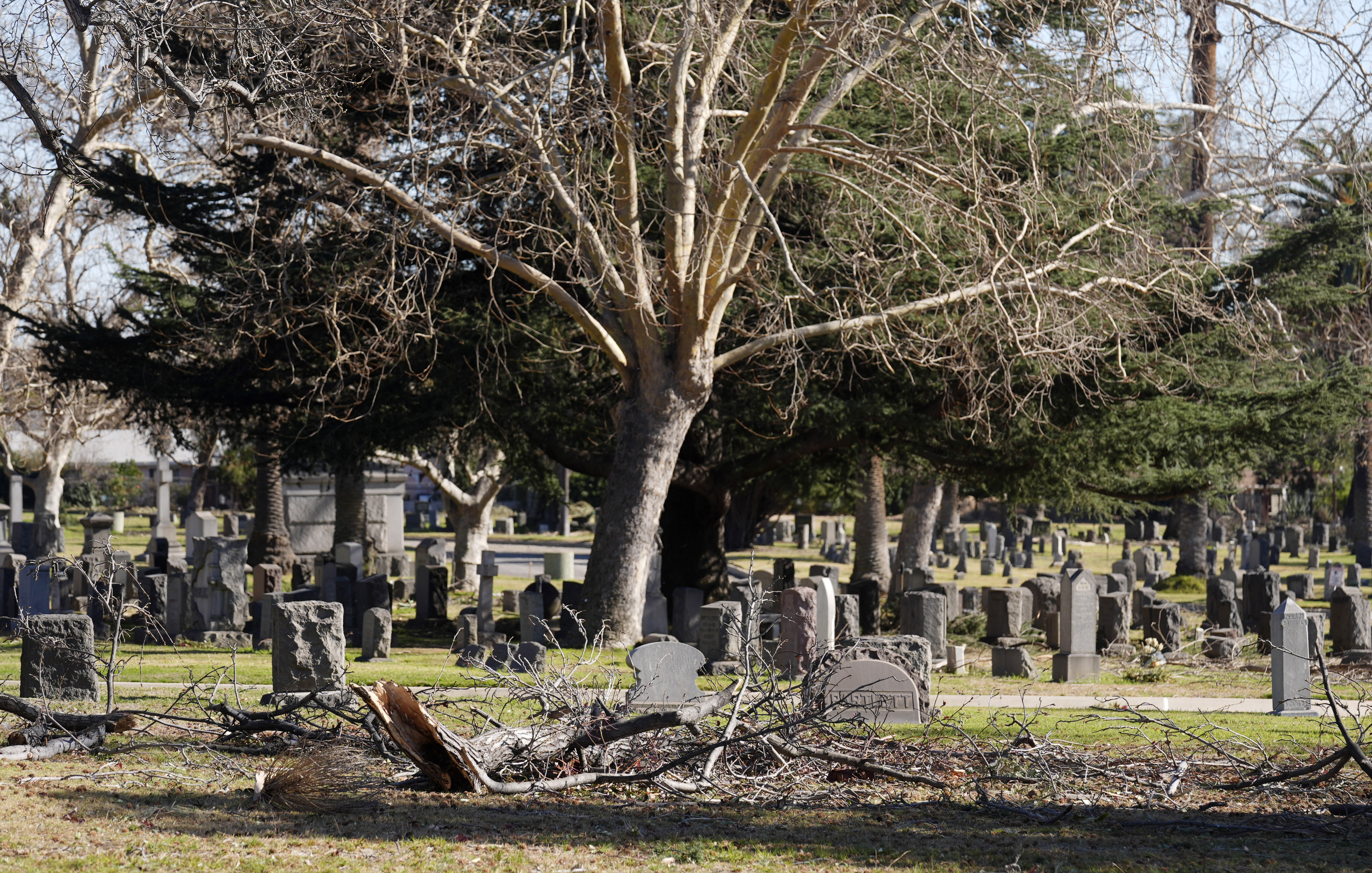 Downed branches lie near graves at Mountain View Cemetery after the Eaton Fire, Tuesday, Jan. 14, 2025, in Altadena, Calif. (AP Photo/Chris Pizzello)