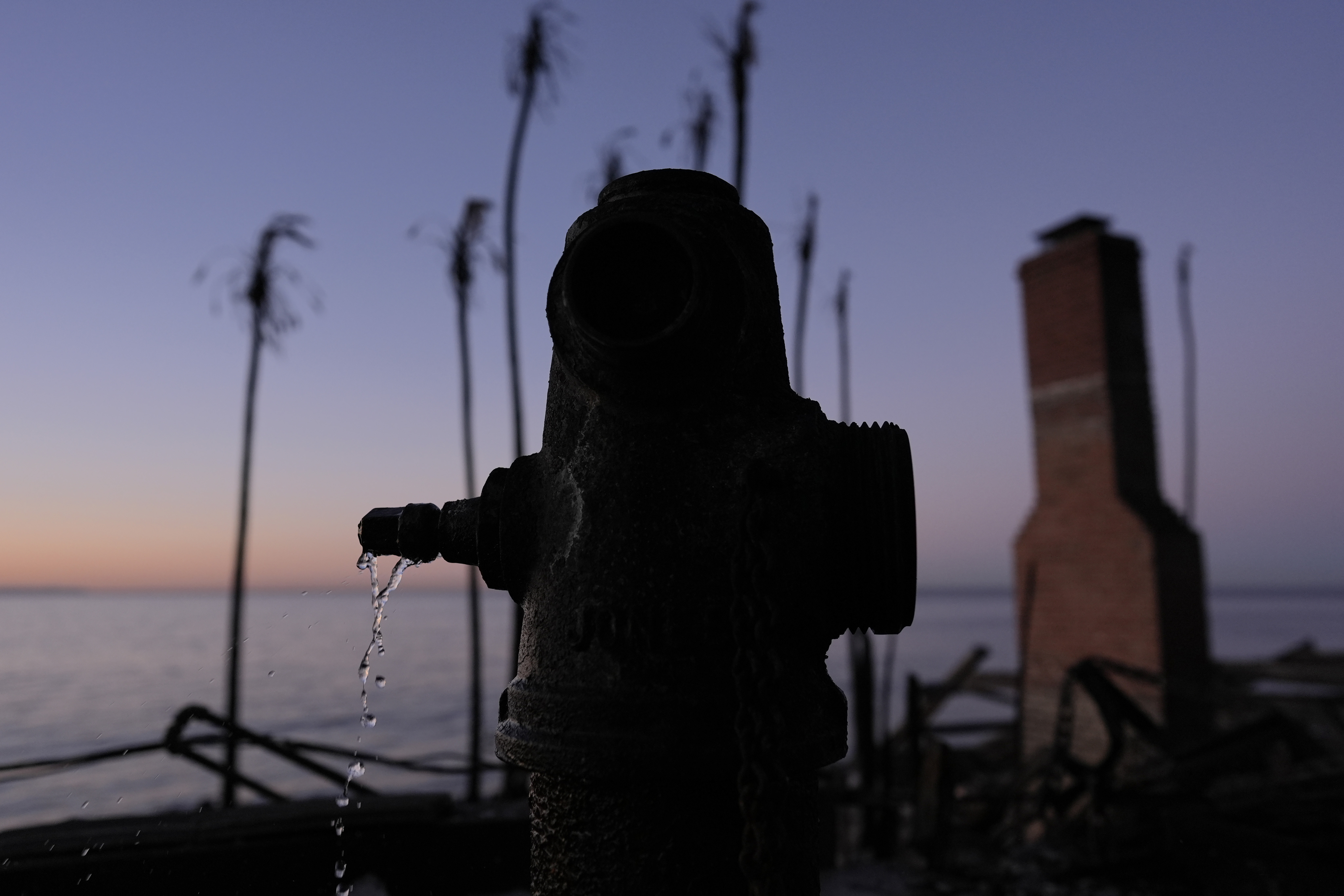 FILE - A burned fire hydrant drips water in front of charred trees in Malibu, Calif., Jan. 14, 2025. (AP Photo/Carolyn Kaster, File)